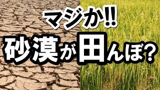 またも日本の技術が奇跡を起こしたと世界中で話題に！砂漠が緑化！一人の日本人が革新的な技術を駆使した結果がとんでもなかった【海外の反応】