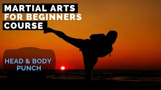 Martial Arts for Beginners – KARATE PUNCHES