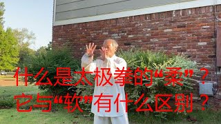 什么是太极拳的“柔”？它与“软”有什么区别？怎样练习？中国传统武术太极、形意、八卦三大内家拳之首的太极的魅力