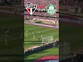 golaÇo do palmeiras contra o sÃo paulo no morumbi