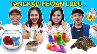 MENANGKAP AYAM WARNA WARNI, KURA KURA, IKAN CUPANG DAN HAMSTER DI PASAR HEWAN! GEMESS| Mikael TubeHD