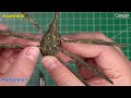 full video build dune atreides u0026 harkonnen ornithopter meng sci fi model