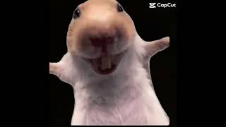 øø ̄ùˆøaø© ù‚ø ̈ù„ ø§ù„ù†ùˆù... ø±ùˆù...ø§ù†ø3ùšø©恐怖的