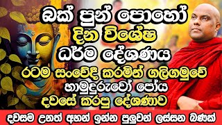 බක් පුන් පොහෝදා සුවිශේෂී ධර්ම දේශනය | Galigamuwe Gnanadeepa Thero | Bak Poya Bana | Bak Poya | Bana