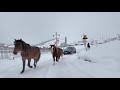 不装雪地胎的“宝马”居然也打滑 新疆 阿勒泰的冬天 阿勒泰的正确打开方式 带你看雪景 新疆的冬天究竟有多美