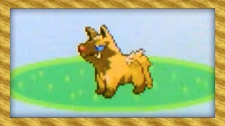 Random Shiny Poochyena! (Pokémon Ruby)