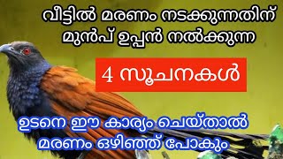 വീട്ടിൽ മരണം നടക്കുന്നതിന് മുൻപ് ഉപ്പൻ നൽക്കുന്ന