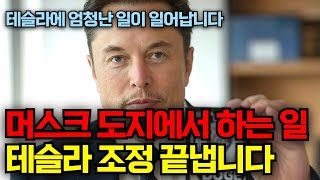 머스크 도지에서 하는 일이 테슬라 조정 끝냅니다, 이제 테슬라에 엄청난 일이 일어납니다