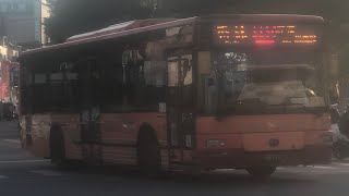 「花蓮客運」1136路線 往花蓮轉運站 993-FW 2023/02/11攝