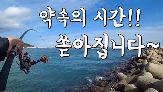 [다리tv] 약속의 시간!!! 엄청난 놈들이 쏟아집니다!!!