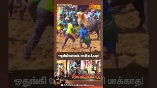 Palamedu Jallikattu காளையரை Air-ல் பறக்கவிட்ட காளை | #sunshorts | Sun News