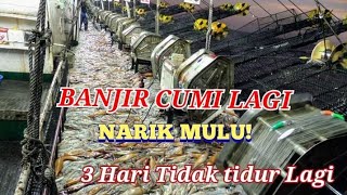 BANJIR CUMI BANJIR CUMI