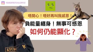 顯化你的願望｜情緒低落時 ｜低頻率時｜如何顯化願望