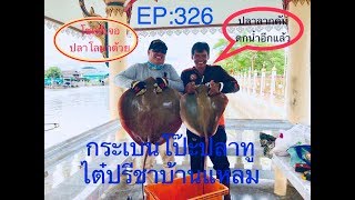 ไต๋ปรีชาบ้านแหลม // ตกปลากระเบนที่โป๊ะปลาทู //HD// จุ๊จุ๊ ออนทัวร์ EP:326