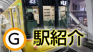 【駅紹介】東京メトロ銀座線全駅をご紹介します！