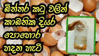 බිත්තර කටු  දියර පොහොර හදන හැටි / How to Make Eggshell organic fertilizer /Biththara katu pohora