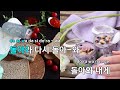 멜로디제거 돌아와 박우철 ky.861 ky karaoke