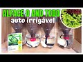 ALFACE NA GARRAFA PET - Auto irrigável 🥬 orgânicos o ano todo