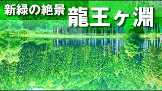 【日本の絶景】リフレクション新緑の龍王ヶ淵 Ryuogabuchi  Superb view of Nara Japan 4K