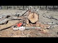 review baumr ag sx62 after cutting first trailer load of australian hardwwod firewood