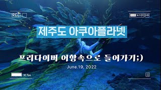 제주도 프리다이빙 ㅣ 아쿠아플라넷 제주 ㅣ 아쿠아리움 다이빙 ㅣ jejudo AquaPlanet