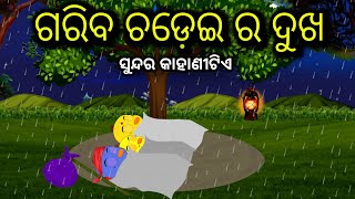 ଗରିବ ଚଡ଼େଇ ର ଦୁଖ | Tiki Chadhei Odia Gapa Chadhei gappa Odia Bird Story Odia Story Moral Story