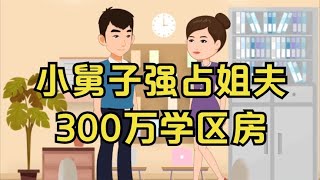 扶弟魔姐姐资助弟弟100万，小舅子还想强占姐夫300万学区房！