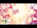 9 Hours Of Relaxing Sleep Music Soft Piano Music Sleeping Music Fall Asleep Fast ★98