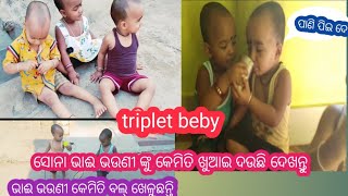 (ତିନୋଟି ଯାଆଁଳା ଛୁଆ)ତିନିଜଣ ଏତେ ଛୋଟ ଅଛନ୍ତି କିନ୍ତୁ କେତେଯତ୍ନ ନିଅନ୍ତି ଦୁହେଁଦୁହିଁଙ୍କର#dailyvlogs