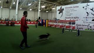 GUIA AGILITY ejercicios OUT parte 2