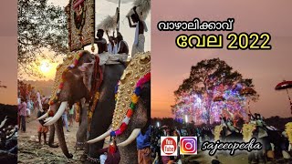 വാഴാലിക്കാവ് വേല 2022 | vazhalikav pooram vela 2022 | പൈങ്കുളം വാഴലിക്കാവ്