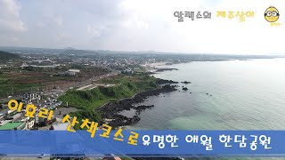 [알렉스 제주살이]  이효리 산책코스로 유명한 애월 한담공원 산책로