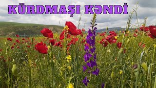 İsmayıllı rayonu Kürdmaşı kəndi. Ismayilli rayonu Kurdmasi kendi