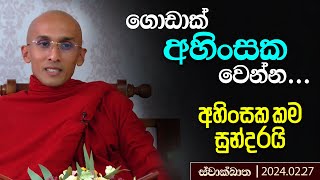 ගොඩාක් අහිංසක වෙන්න... (අහිංසක කම සුන්දරයි) | ස්වාක්ඛාත | 2024-02-27