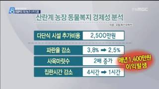 [안동MBC뉴스]동물복지 축산농가 수익 도움