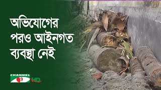 গোপালগঞ্জে চলছে অবাধে বৃক্ষ নিধন