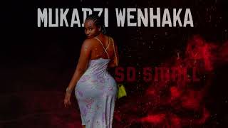 SD Small - Mukadzi Wenhaka [Official Audio]