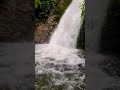 रोशी झरना roshi waterfall panauti a natural beauty hidden in the hills 😱 shorts shortsfeed