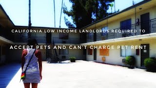 California Low Income Landlords Required To Accept Pets And Can’t Charge Pet Rent