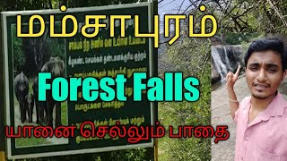 Mamsapuram || Full Forest || Elephants Attack Area || Falls Inside || Time 2 Turn