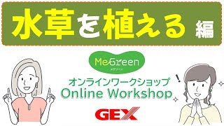 MeGreen Online Workshop 動画で解説！水草の植え方！