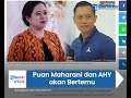 puan dan ahy akan bertemu pengamat sebut peluang koalisi kecil karena beda pandangan politik