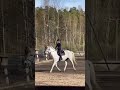 etta eilen❤️onko sun ratsastus asioihin tulossa muutoksia soukka etta equestrian