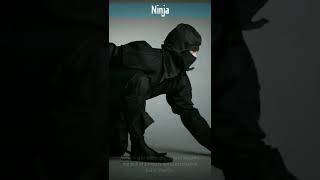 Ninja Japan | History