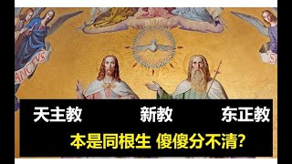 【细数西方文化与基督宗教的关系】天主教 东正教 新教傻傻分不清？基督三教最全科普  【百景怪谈】