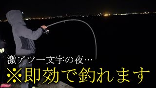 【ヒット連発】魚無限！ほとんどの人が知りえない人気一文字の夜は凄かった【那覇一文字一泊 後編】