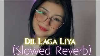 Dil Laga Liya Slowed Reverb #lofi