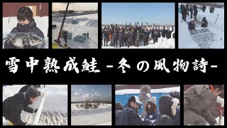 【佐藤水産】雪中熟成鮭ー冬の風物詩ー