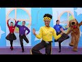 say the dance do the dance 🕺💃 learn to dance for kids ✨ the wiggles