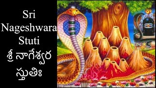 Sri Nageshwara Stuti | శ్రీ నాగేశ్వర స్తుతిః | Ashalatha | with lyrics